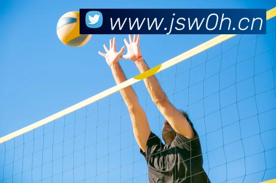 乐鱼网页版官网服务体系